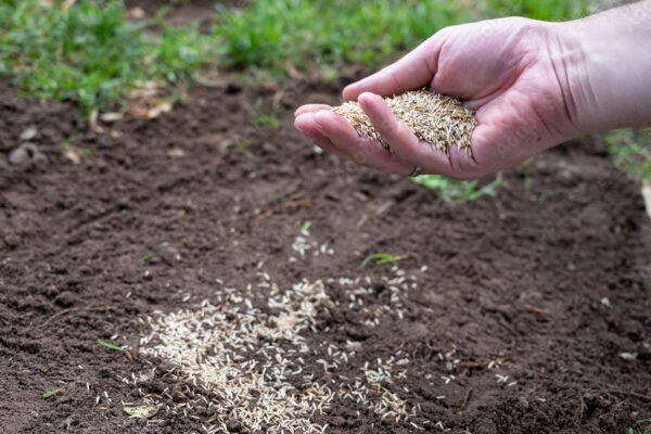 AdobeStock_364819351_Preview