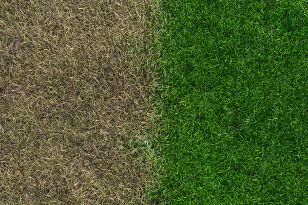 AdobeStock_507661289_Preview