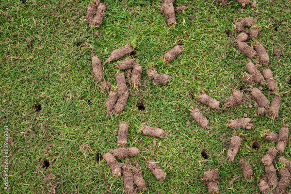 AdobeStock_839169261_Preview